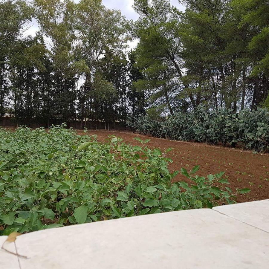 Tenuta Guarascio Cavallino di Lecce Eksteriør billede